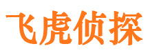 茌平调查事务所